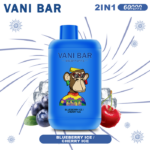 VANI BAR 2 IN 1 60k Puffs