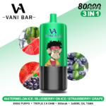 VANI BAR 3 IN 1 80K Puffs